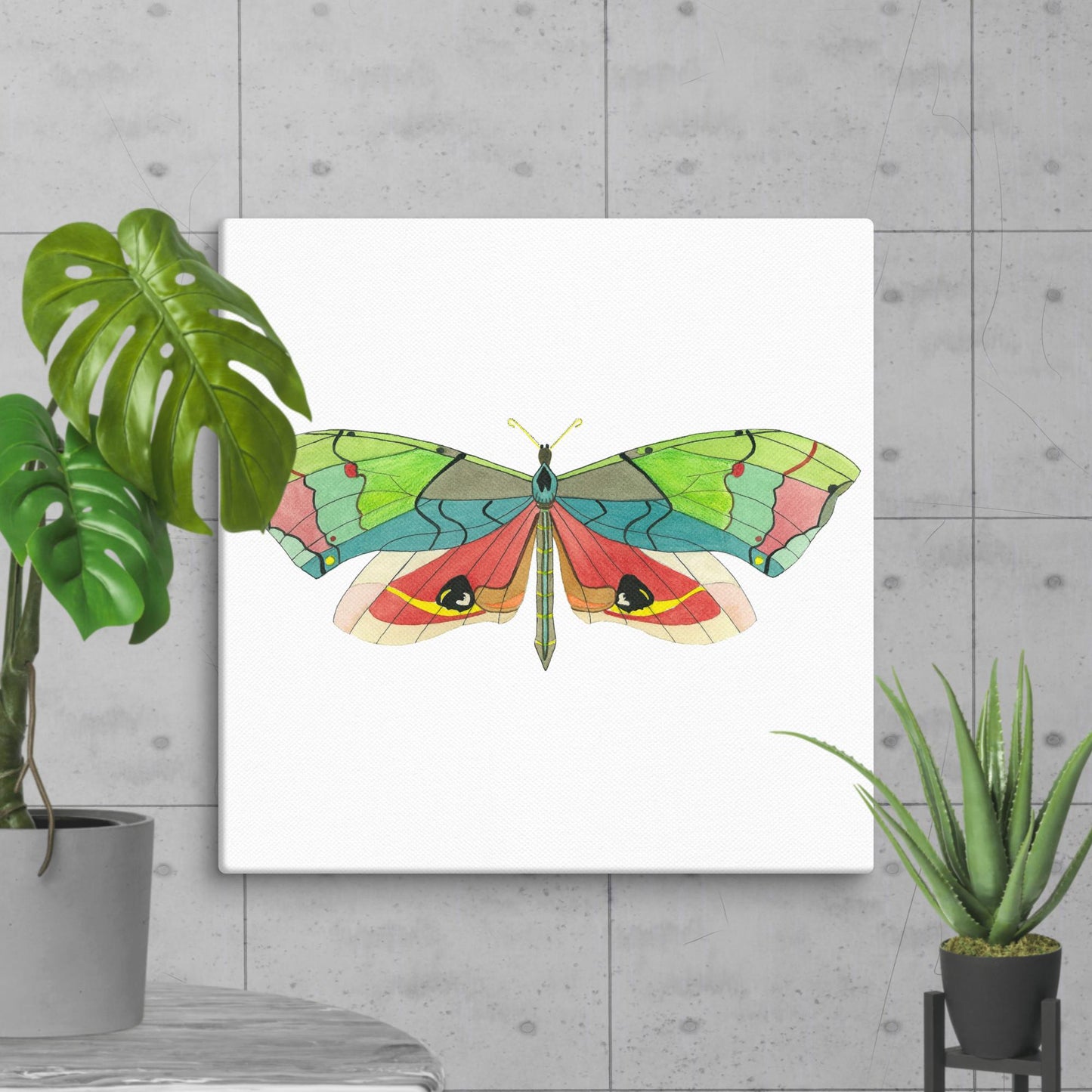 Callambulyx Junonia [Canvas]